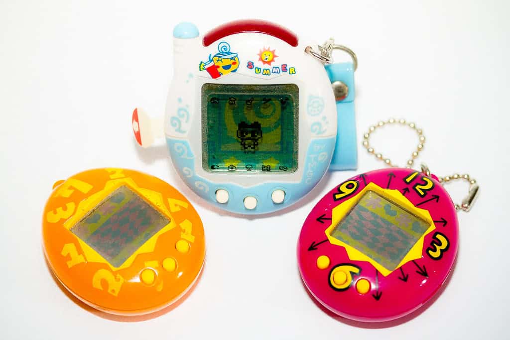 Answer 9: Virtual Pet Sitting