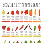 Who Invented the Scoville Unit?