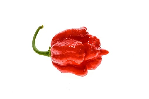 How Hot Is a Scorpion Pepper?