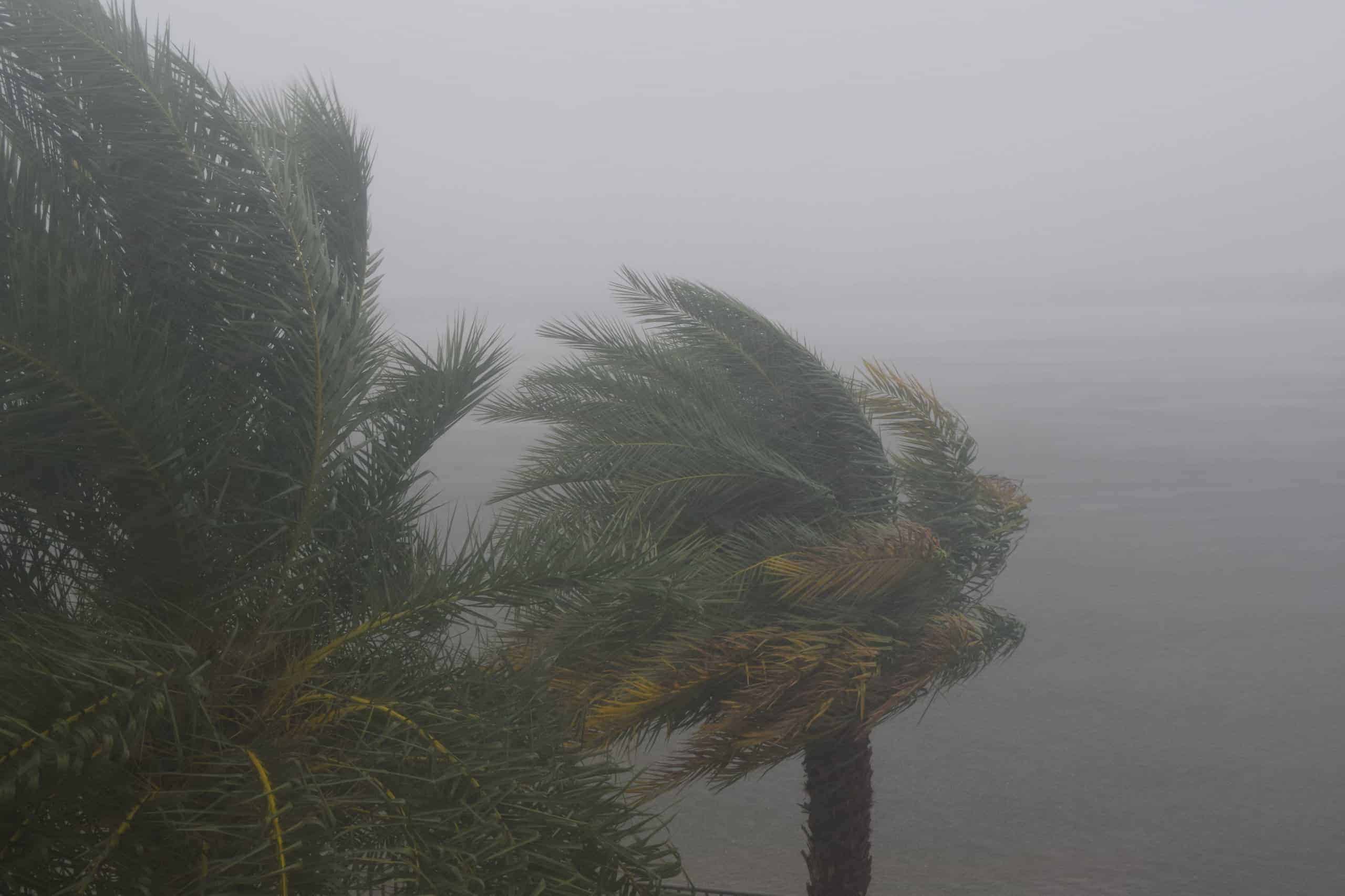 Are There Still Toxins in the Wind Storms Around the Aral Sea?