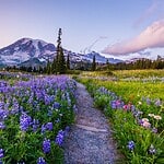 The Deadliest Mountains in the United States