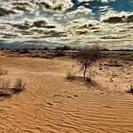 What Happened to the Area Where the Aral Sea Used to be After Humans Destroyed the World’s 4th Largest Lake?