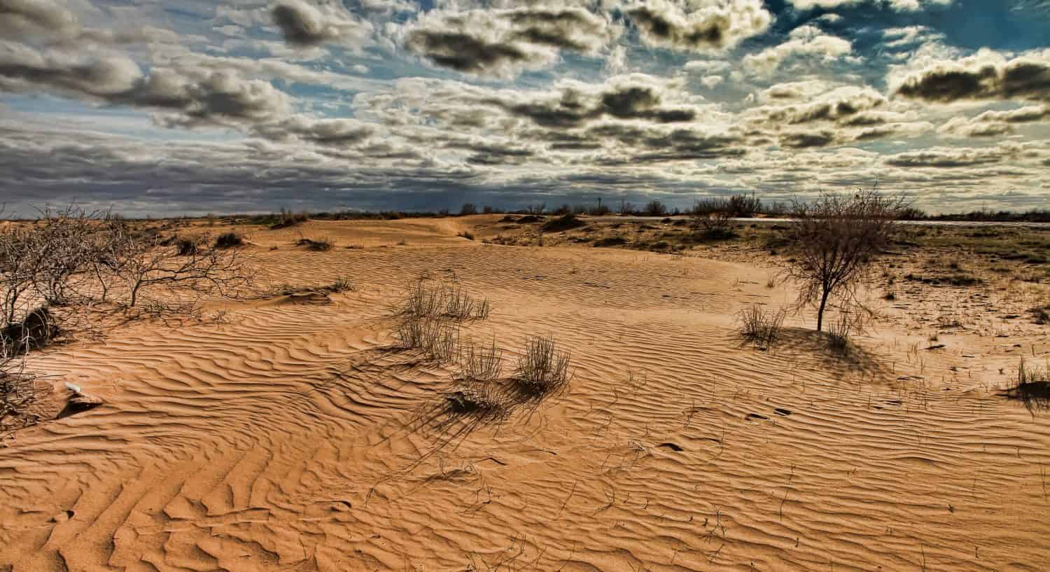 What Happened to the Area Where the Aral Sea Used to be After Humans Destroyed the World’s 4th Largest Lake?
