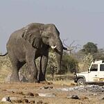 Jacques "Jacky" Boxberger