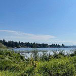 The Opening of Evergreen Point Floating Bridge (cont.)