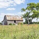 6. The Town of Ellaville in Madison County