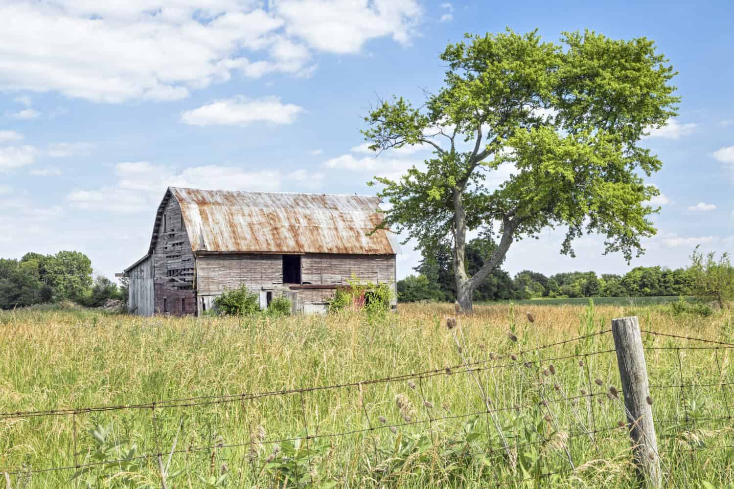 6. The Town of Ellaville in Madison County