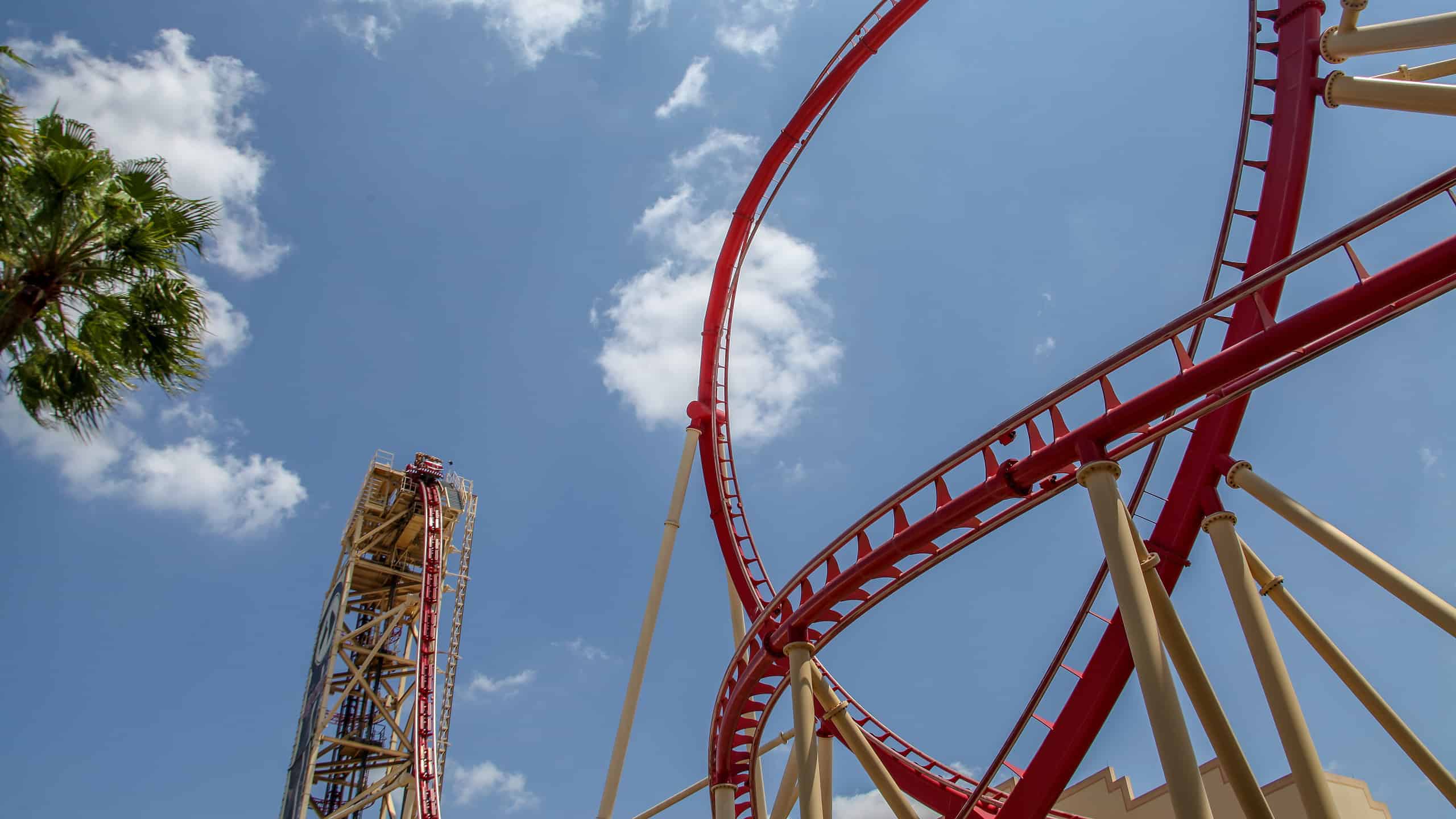 10. SheiKra (Busch Gardens) – Tampa, FL