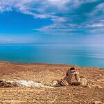How Did Humans Destroy the World’s 4th Largest Lake?