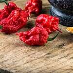 Is the Scorpion Pepper the Hottest Pepper?