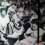 Brown v. the Board of Education