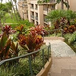 The Ritz-Carlton Maui, Kapalua, Hawaii