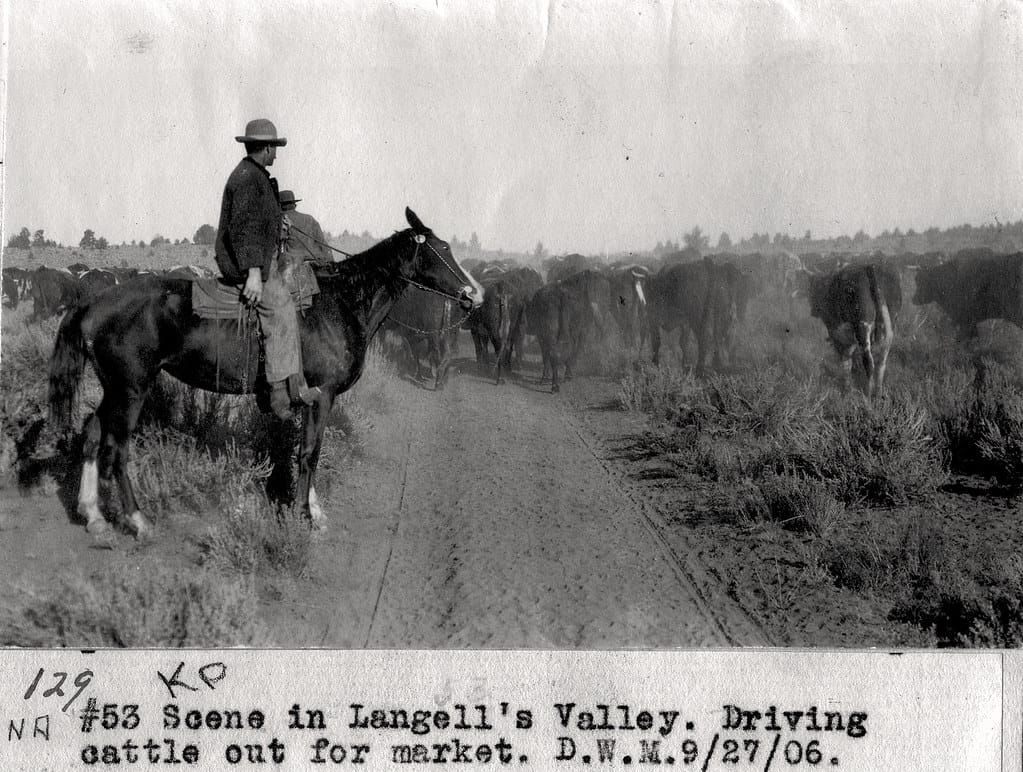 The Homestead Act