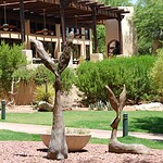 Miraval Arizona Resort & Spa, Tucson Area, Arizona