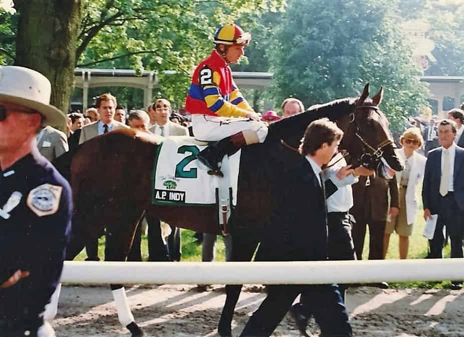 The World's Most Valuable Stallions