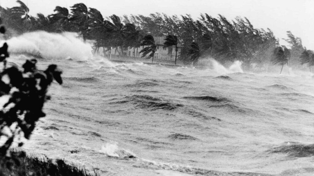 Category 4 Zone