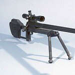 9. RAI Model 300 / Model 500 (Haskins Rifle)