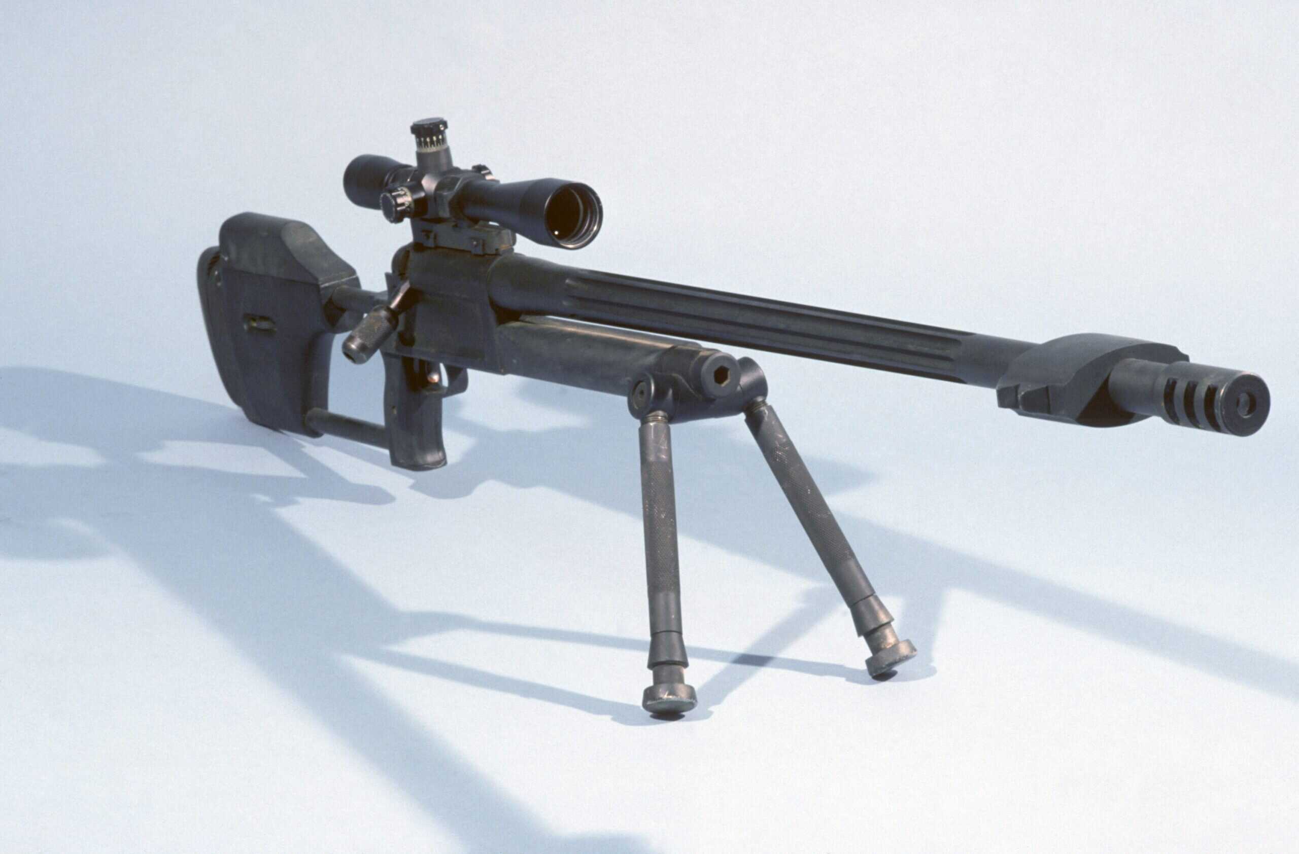 9. RAI Model 300 / Model 500 (Haskins Rifle)