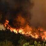 More About Wildfires in Idaho