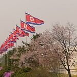 Who Are the Biggest Counterfeiters?