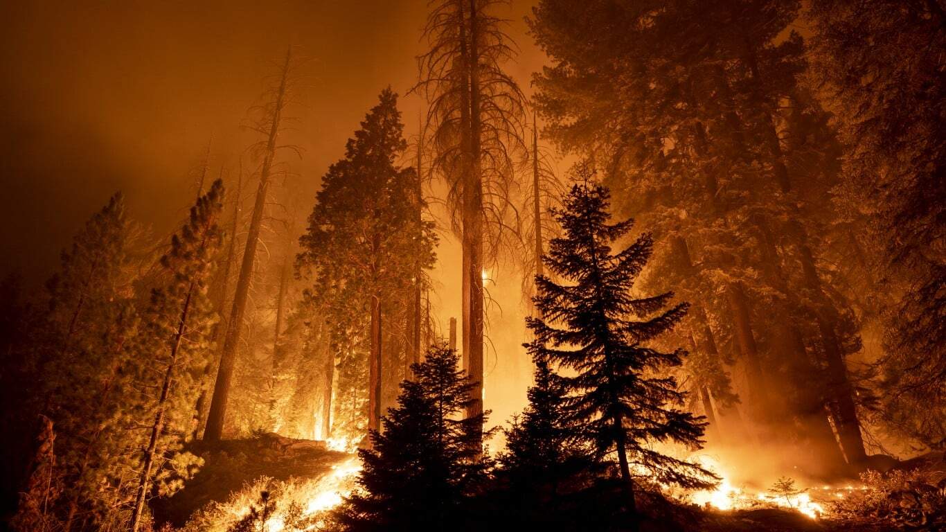 9. Western Wildfires