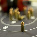 10. Question: Ammunition Restrictions