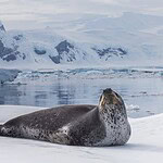 2. Few People Live in Antarctica…