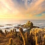 5. Chile – 78,563 km