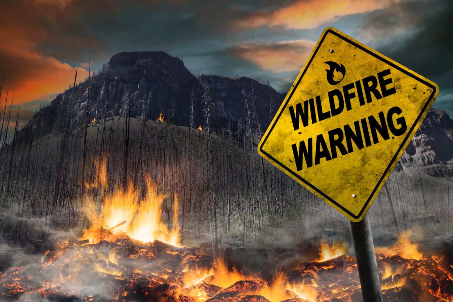 The U.S. States That Suffer Most Wildfires Each Year