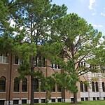 Why Choose Rice University