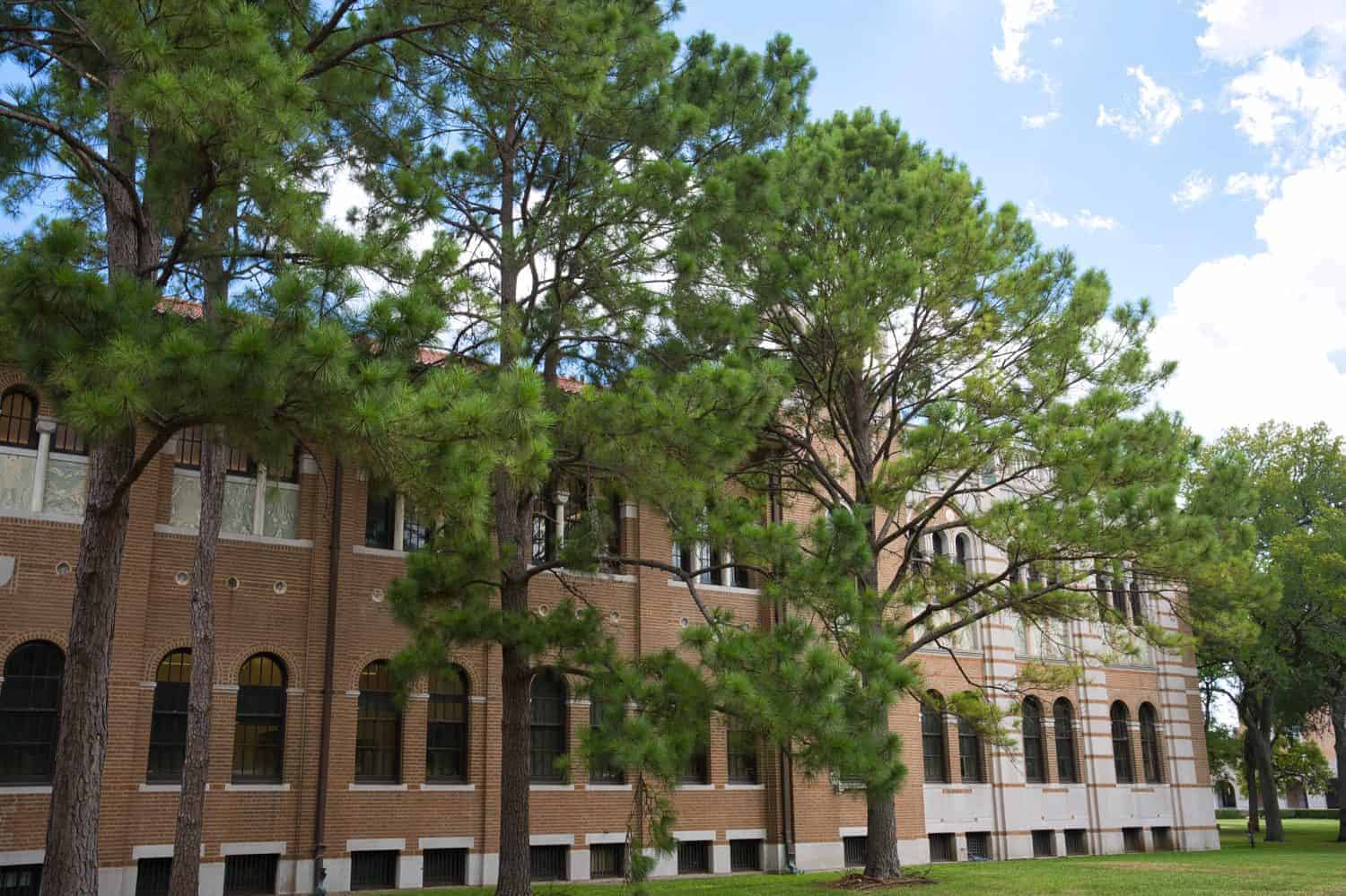 Why Choose Rice University