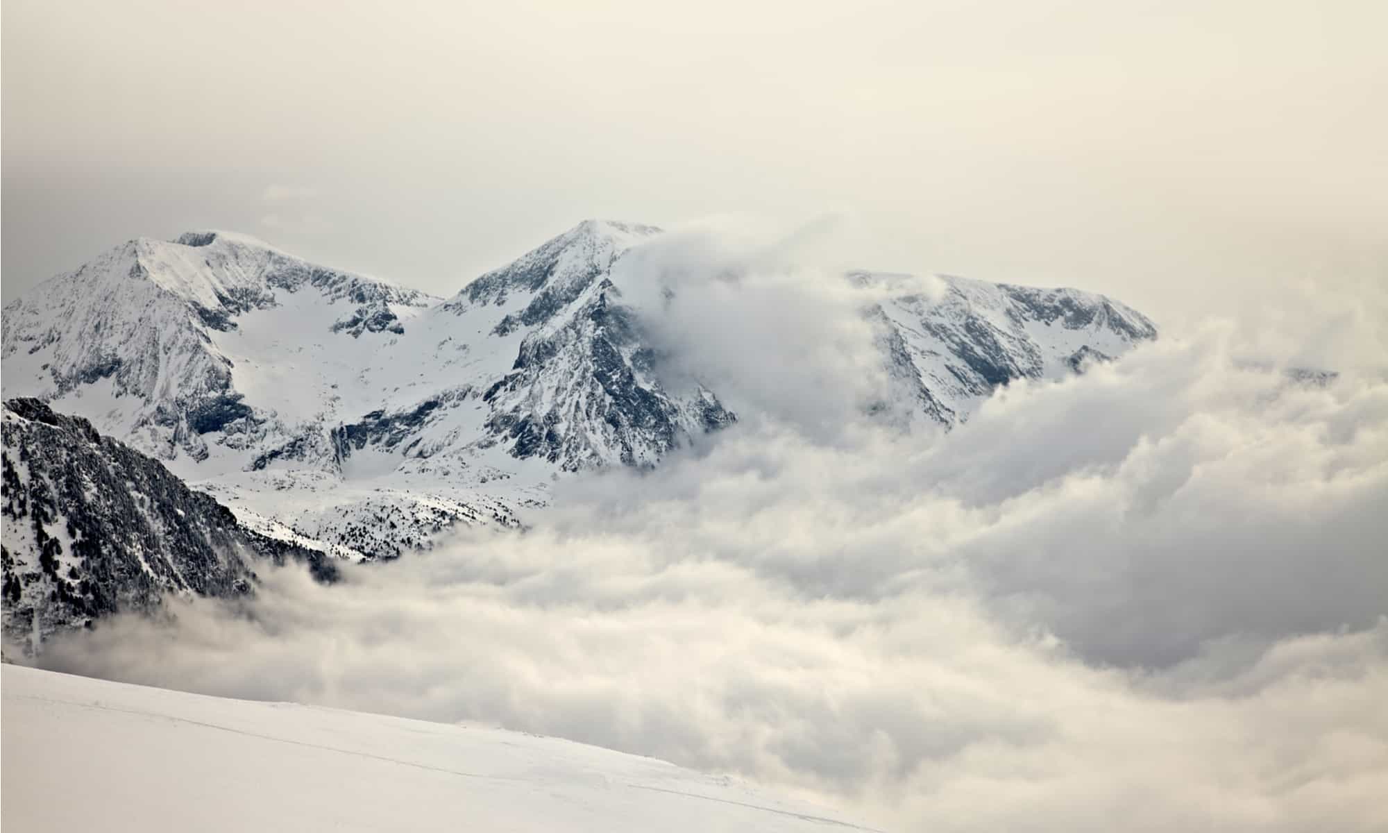 26. The Largest Island in Antarctica is Alexander Island