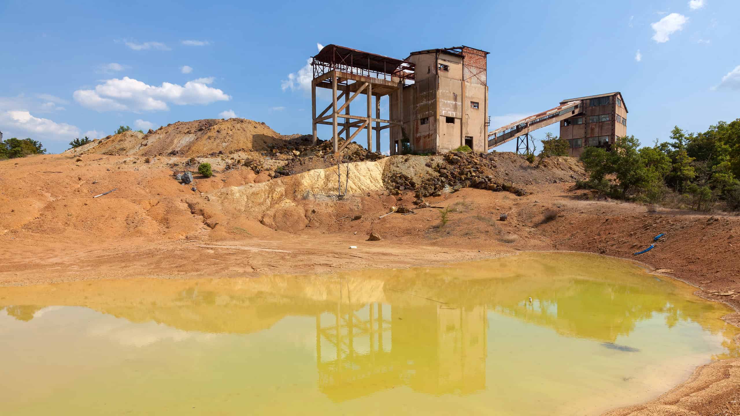 How Do Gold Mines Affect Wildlife?