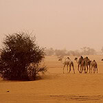 9. Sudan