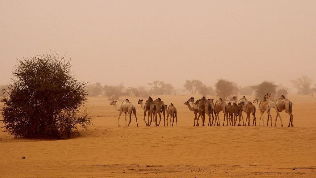 9. Sudan