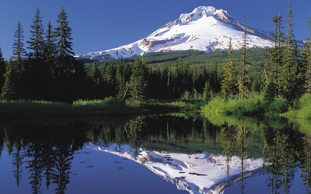 12. Oregon – High Taxes and Rising Costs