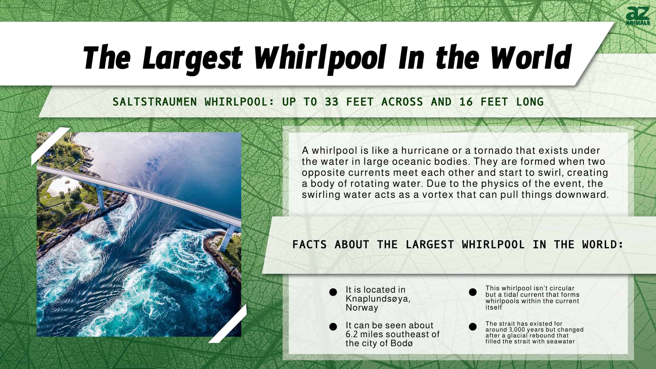 The Largest Whirlpool
