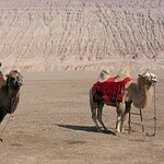 Don't Test the Taklamakan