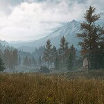 Days Gone