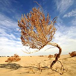 3. The Taklamakan Desert