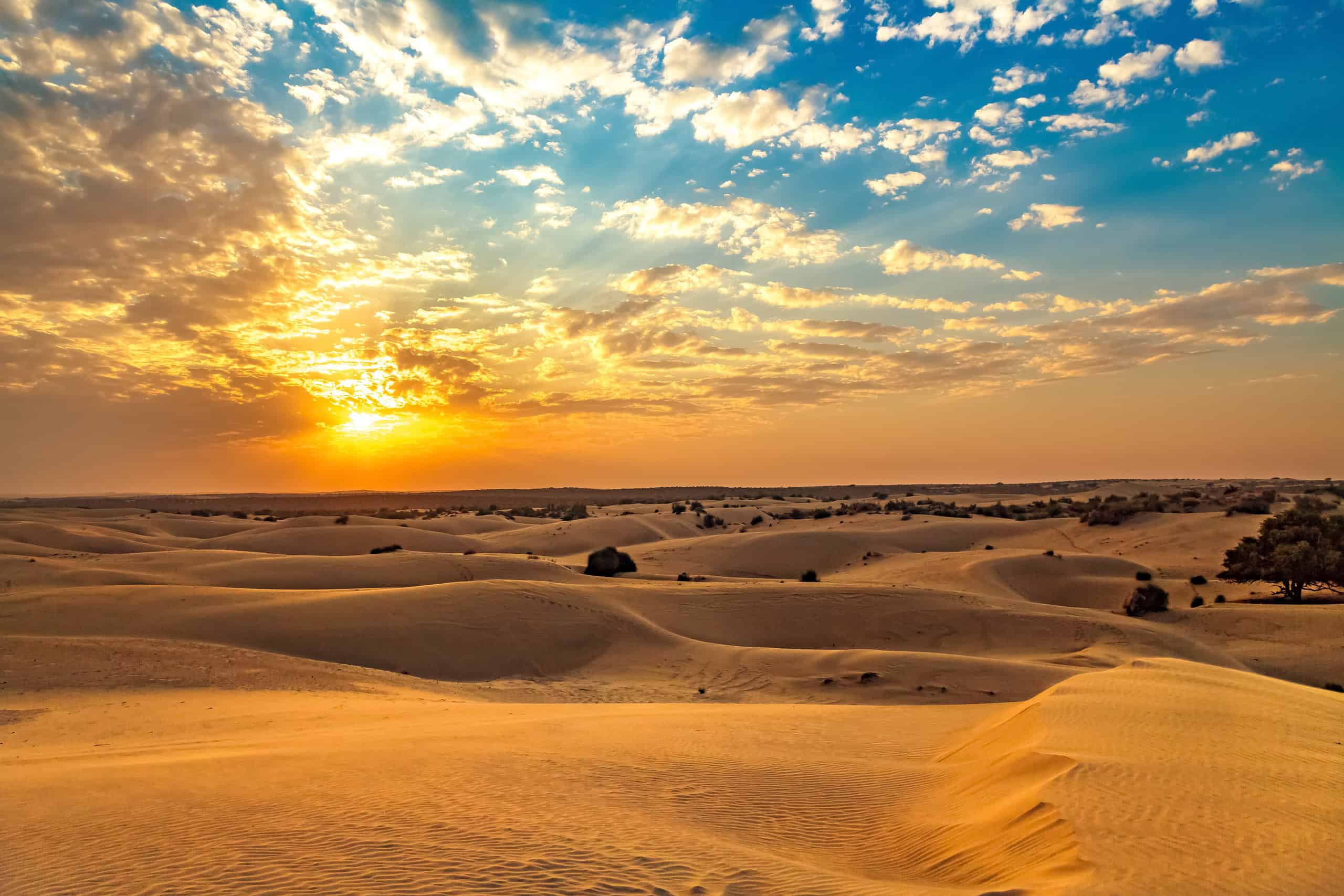 7. The Thar Desert