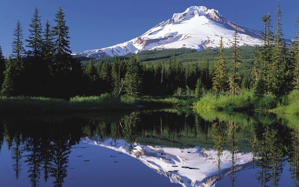 10. Oregon