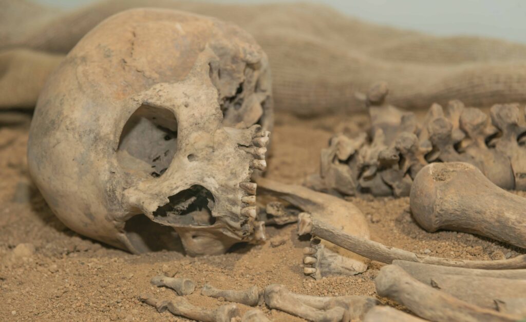 Human remains