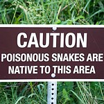 Avoiding Rattlesnake Bites