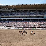 Calgary Stampede