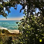 What Was the Biggest Tsunami to Hit California?