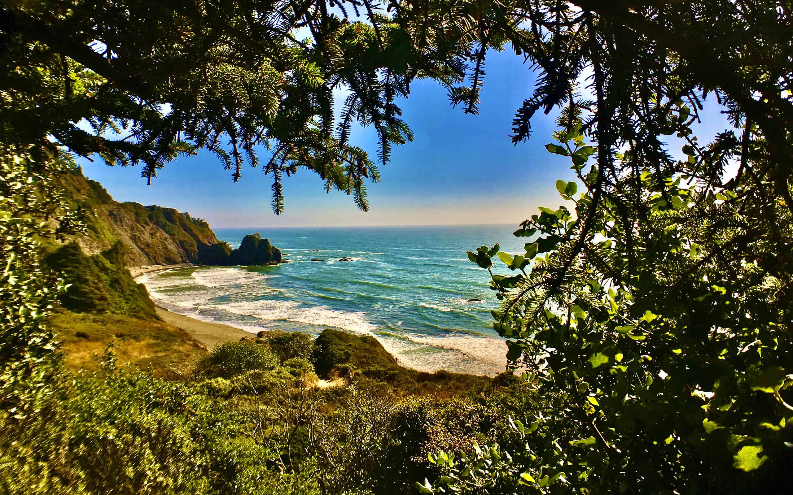 What Was the Biggest Tsunami to Hit California?