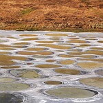 10. Spotted Lake