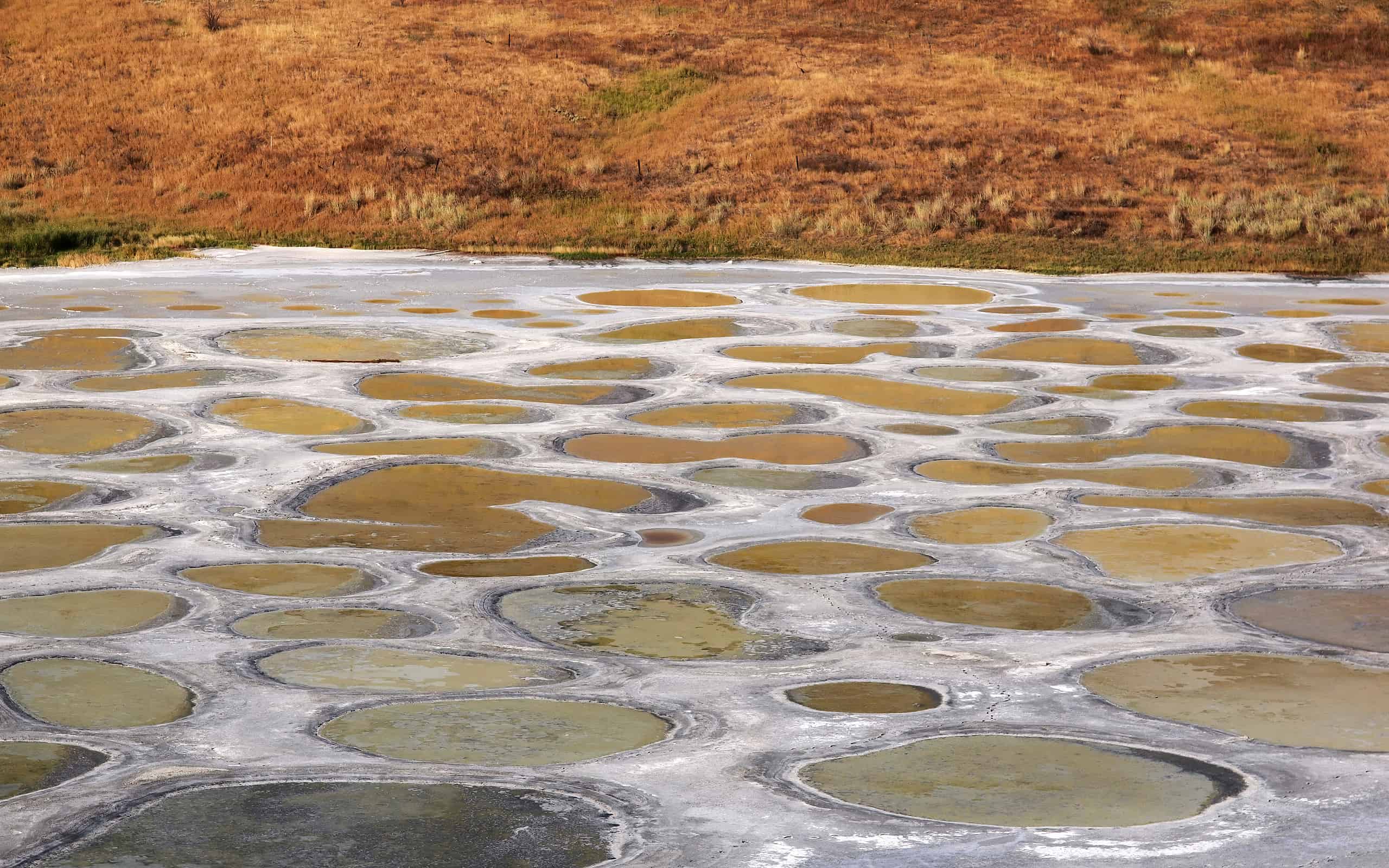 10. Spotted Lake