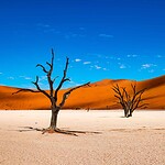 5. Dead Vlei